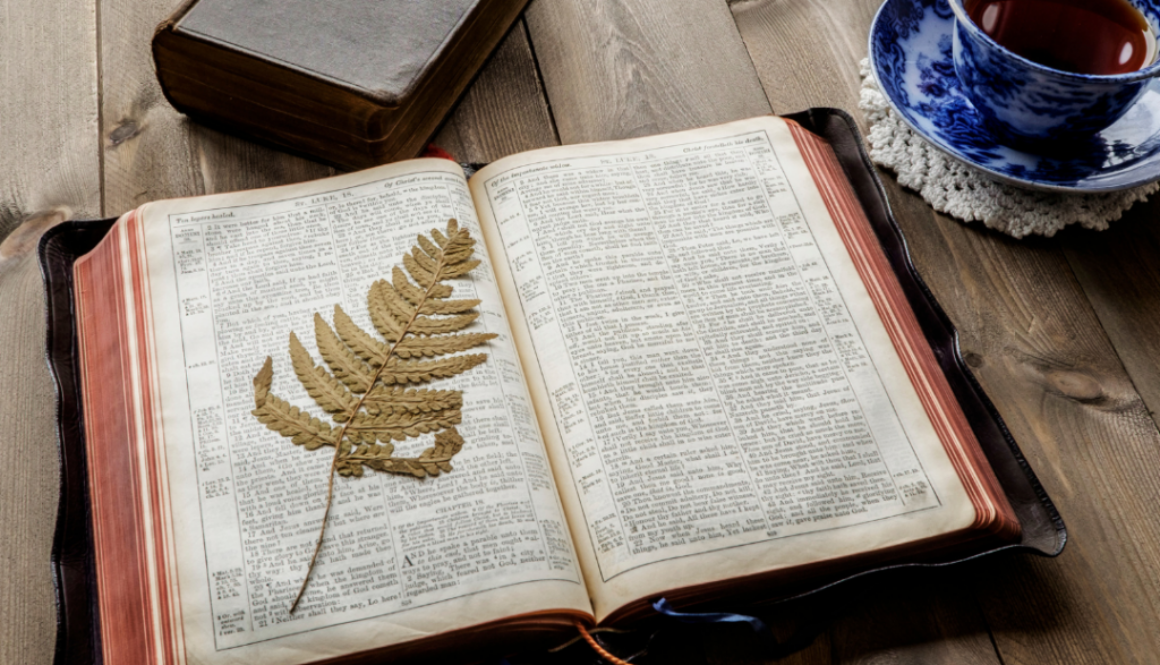 lenten devo-2